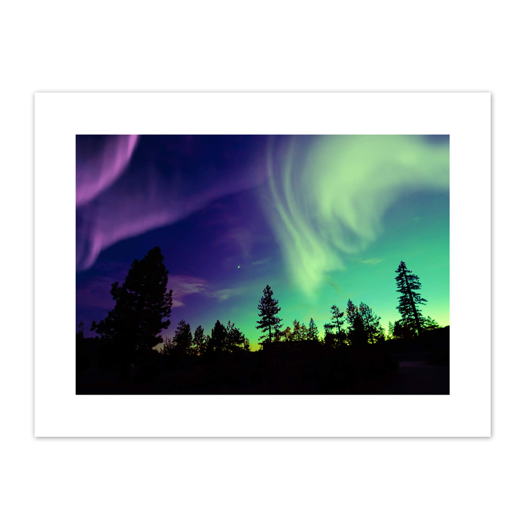 Pine Trees Silhouette Northern Lights Art Print Canvas Premium Wall Decor Poster