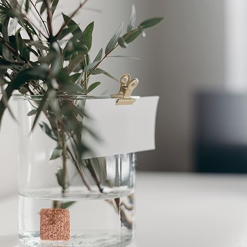 Miniatura 6 de TEHAUX Soporte para plantas de acuario, soporte para plantas de acuario, anillo de gravedad, pesos de plantas de acuario, decoración botánica,