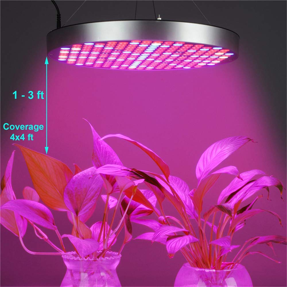 LED Plant Grow Light, lámpara de Planta de Interior de Espectro Completo UFO50W para el Sistema hidropónico de Plantas Vegs Luz de Piso para Plantas de Doble Chip de Interior,USPlug