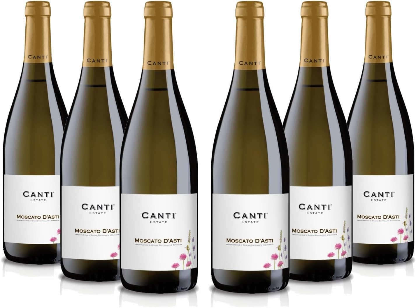 Canti - Weißer D.O.C.G. Spritzwein, Moscato d'Asti, italienische Traubensorte aus Piemont, fruchtiger und süßer Geschmack, 6x750 ml