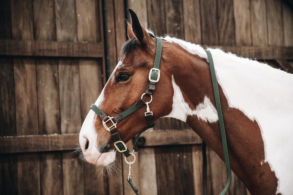 Kentucky Cabezada para Caballos Nylon Trenzada