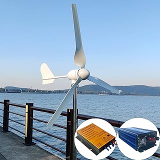 1000w Windturbine Generator Kit mit Regler und Wechselrichter 12V 24V 48V Windkraftanlage Off Grid System für Heimgebrauch Windmühle (12V)