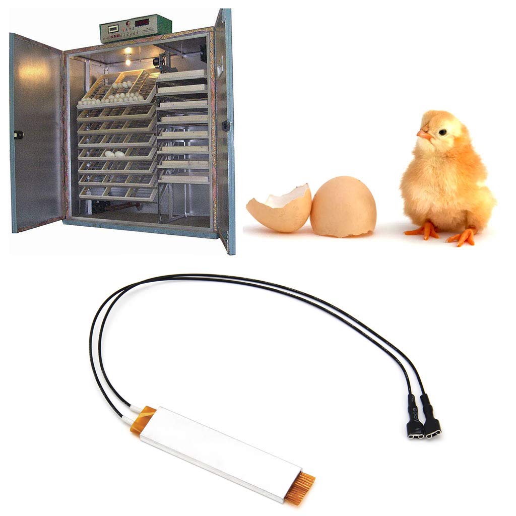Qiuxiaoaa Élément Chauffant Plaque Pour Incubateur Oeufs - 110V 220V 80W Accessoire Volaille