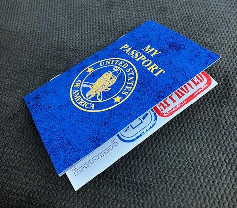 30 Pcs Blank Passport Notebook Travel Journal Sticker Collection Book World Travel Pretend Activity Party Favors, 6x4 Inch image 4