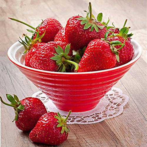 YSCOLOR DIY 5D Diamond Painting Full Round Diamond Bowl Of Strawberries Embroidery Cross Stitch Rhinestone Painting Home Decor 11.8X11.8 in/30X30cm