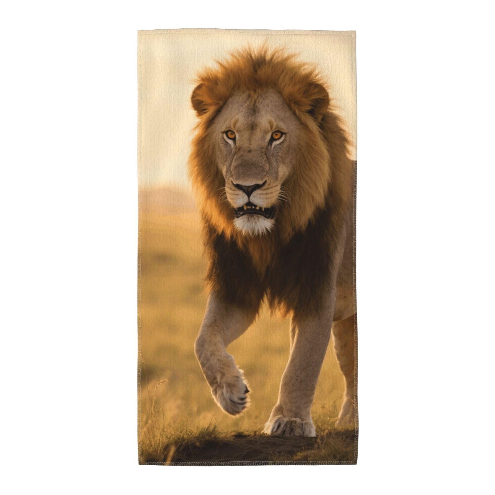 FekiLoot Absorbent Hand Towels 12"X24" Decorative Bathroom Towel Soft Microfiber Face Towel Grassland Lion Dish Kitchen Towels for Bathroom Kitchen Hotel Spa Bath Towels