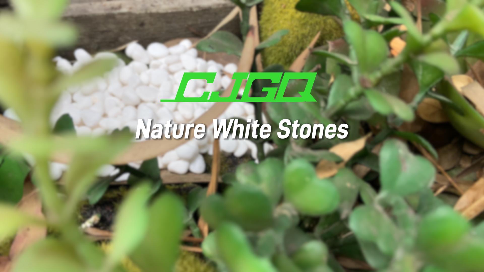 Image of 18lb 1 /4 inch Small White Rocks for Plants,Potting,Succulents Aquarium Fish Tank Garden Vases Decorative Pebbles Gravel Rocks Stones