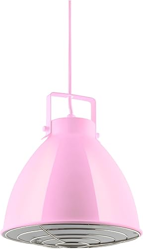 Sunlite 88753 Zed - Lámpara colgante decorativa de 10 pulgadas, base media (E26), bombilla máxima de 60 W (no incluida), cable de longitud ajustable