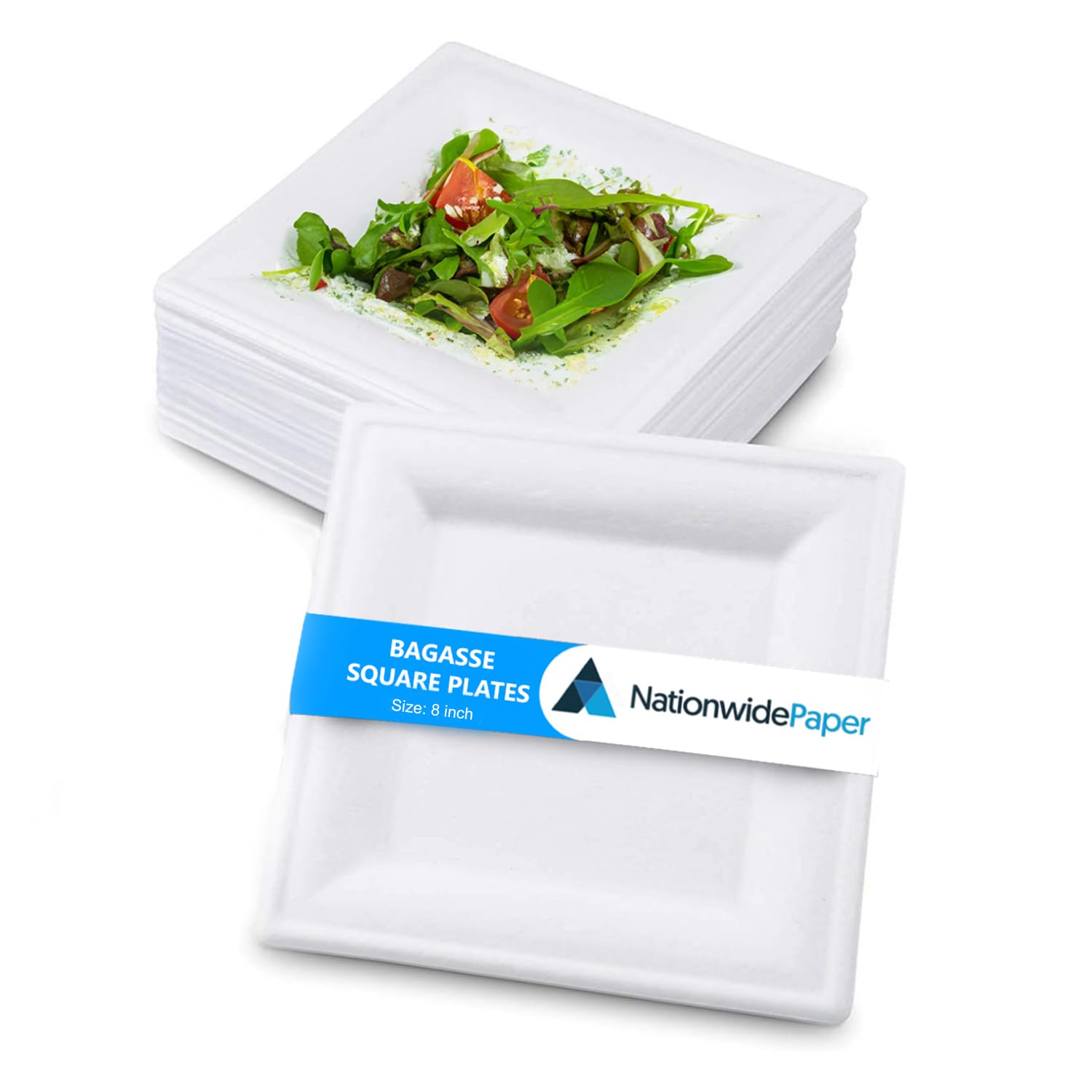 Nationwide Paper 10 Inch Bagasse Square Paper Plate, Eco-Friendly White Compostable Plates Pack of 500 (25cm)