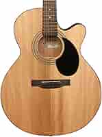 Amazon | Jasmine Nex ミニジャンボアコースティックギター