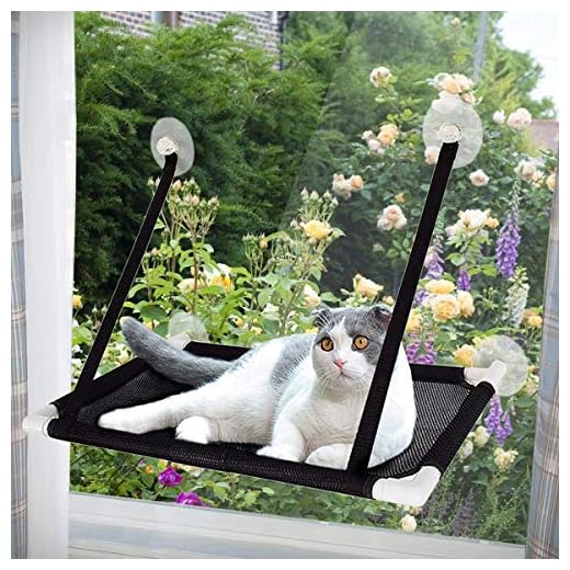 Afufu Ventana de Gato Cama de Hamaca, Cama Hamaca para Gato Estantes de Seguridad para Asientos de Descanso para Mascotas, Grandes para Tomar la Siesta y Tomar el Sol (Soportar hasta 10kg)