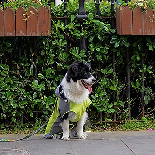 Bolbove Big Dog Hooded Raincoat Slicker Rain Poncho Waterproof Jacket For Medium To Large Dogs (6, Green) #TOP5