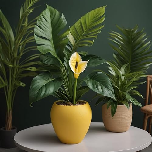 Miniatura 6 de PCS Industries Yeso de París - Coloreado - 1 lb (amarillo)