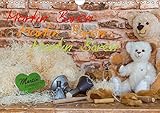  Martin Bären (Wandkalender 2019 DIN A4 quer): Wandkalender Martin Bären aus Sonneberg (Monatskalender, 14 Seiten ) (CALVENDO Spass)