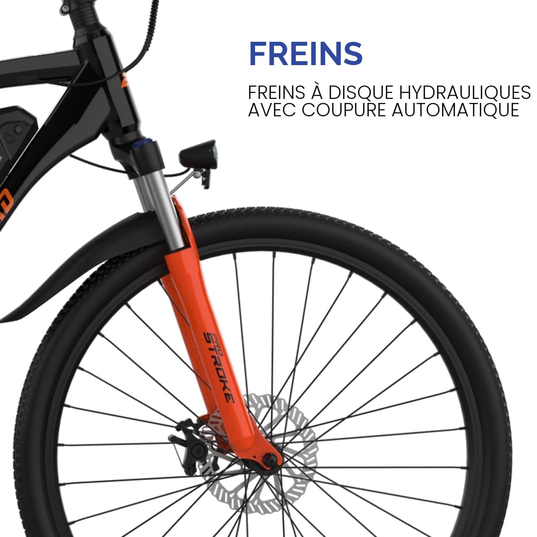 EMotorad EMX+ | Vélo électrique Tout-Terrain pour Adultes | pneus 27,5 x 2,1" | Moteur 36 V 250 W | Batterie 13 Ah Amovible | Double Suspension | Freins Hydrauliques | Écran Couleur C8
