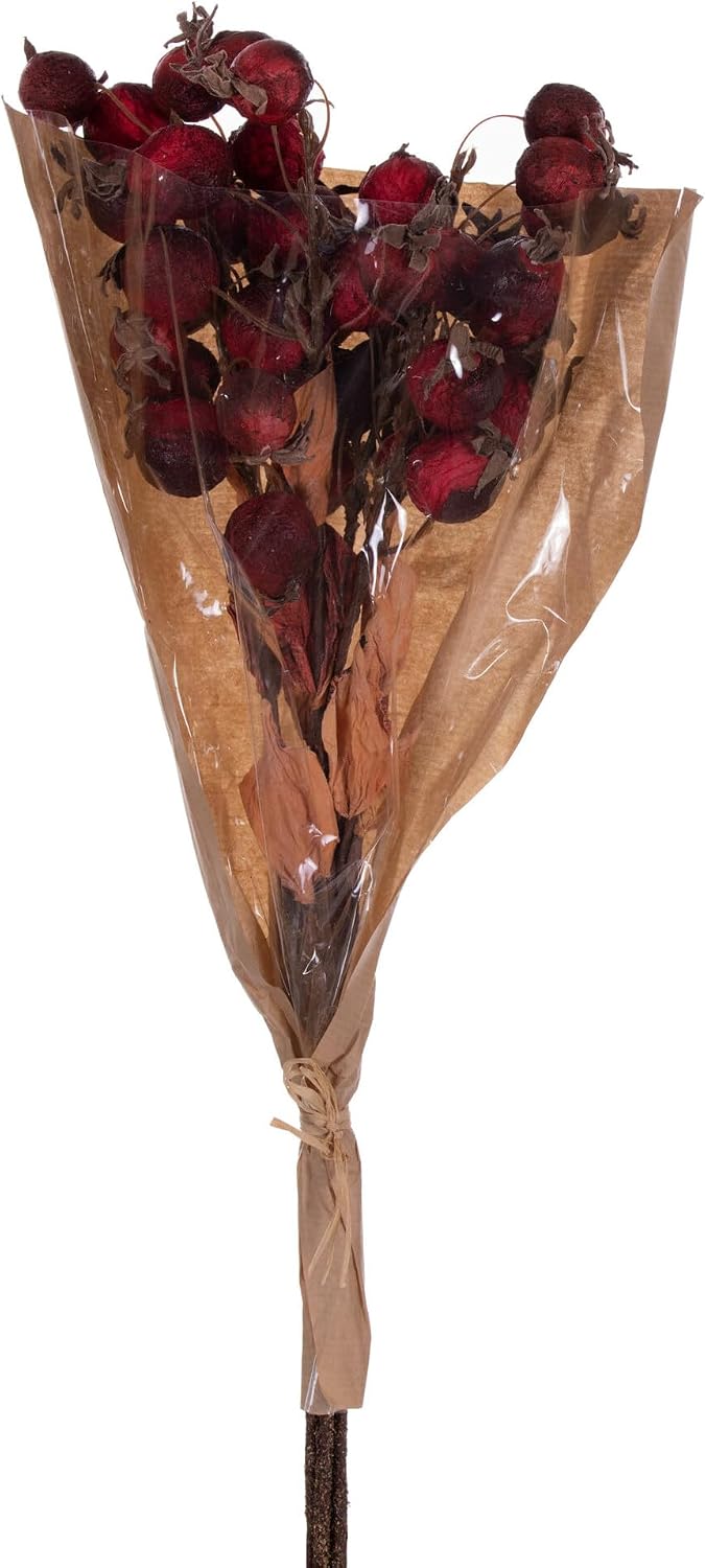 Vickerman 20" Red Artificial Dried Fruit Bunch.