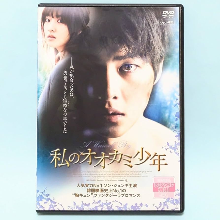 ソンジュンギDVD 私のオオカミ少年｜洋画・外国映画