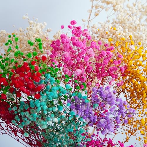 Preserved Natural Baby Breaths Gypsophila Flower Stems miniatura 1