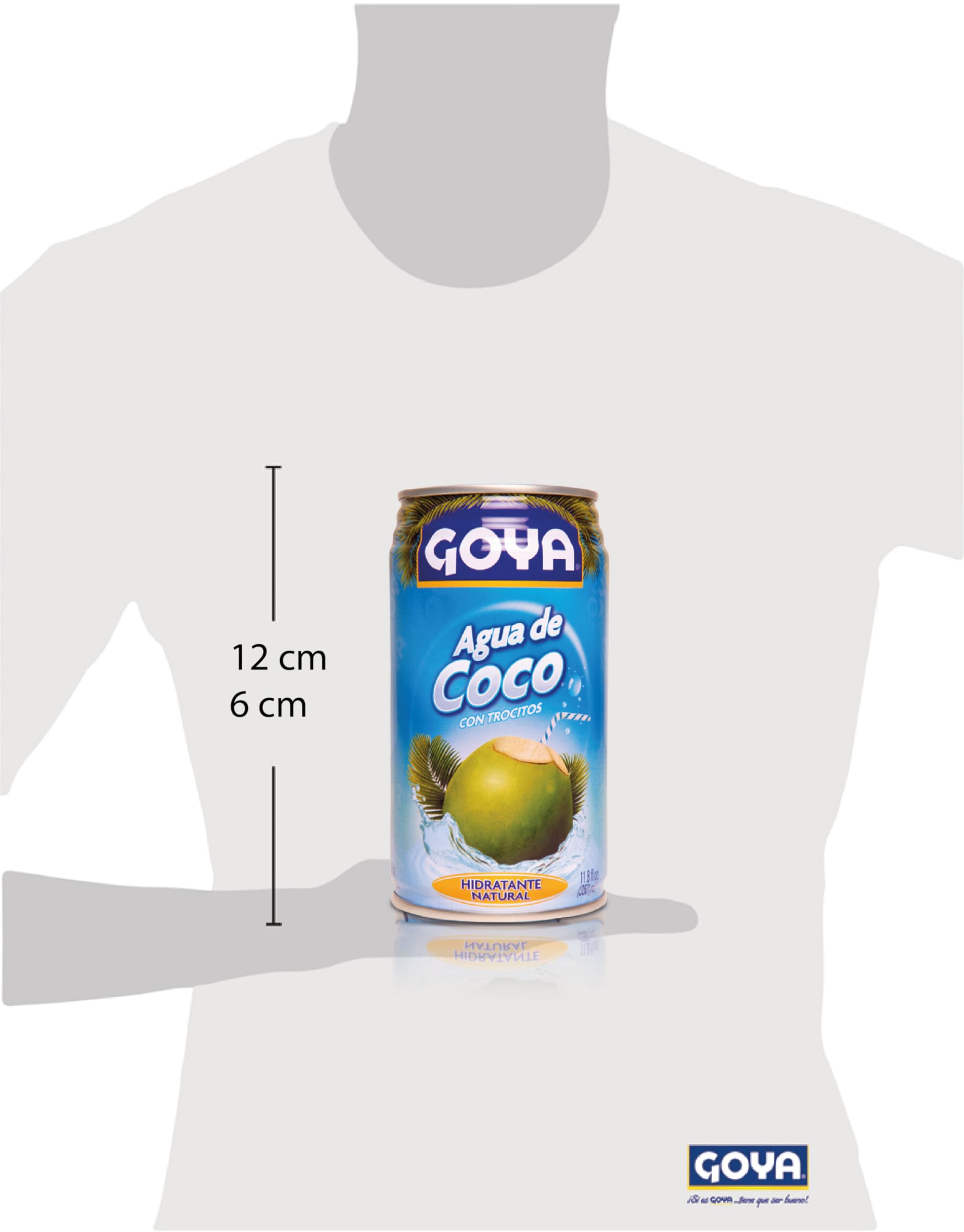 Goya Coconut Water (24x11.8oz )