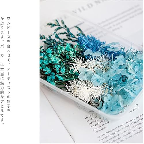 Miniatura 9 de Conos de pino secos, ojos de ojo, eucalipto, limón, canela plantas secas para vela de aromaterapia, hojas y flores secas prensadas de alta calidad