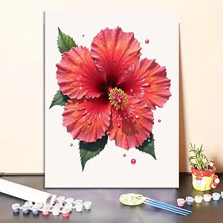 Paint by Numbers kit for Adults Vibrant red Hibiscus with Dew Drops, Paint by Number 16inx20in Including Inner Frame