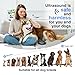 Ultraschall Hunde, Handheld Anti-Bell-Gerät, Anti-Bell-Mittel für Hunde, wiederaufladbare Handheld Trainingsgerät für Hunde mit 5m Reichweite, sichere Mini Antibell für kleine große Hunde Freien