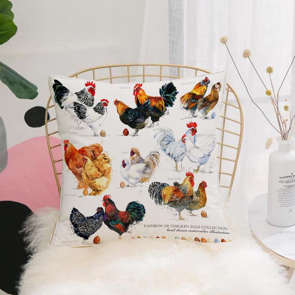 HYOSXW Cushion Cover,Throw Pillow Case Home Decorative for Living Room Bedroom Sofa Chair 16X16 Inch,domestic farm birds hand drawn watercolor illustration. Hen. Ro.,Pillowcase 40X40cm