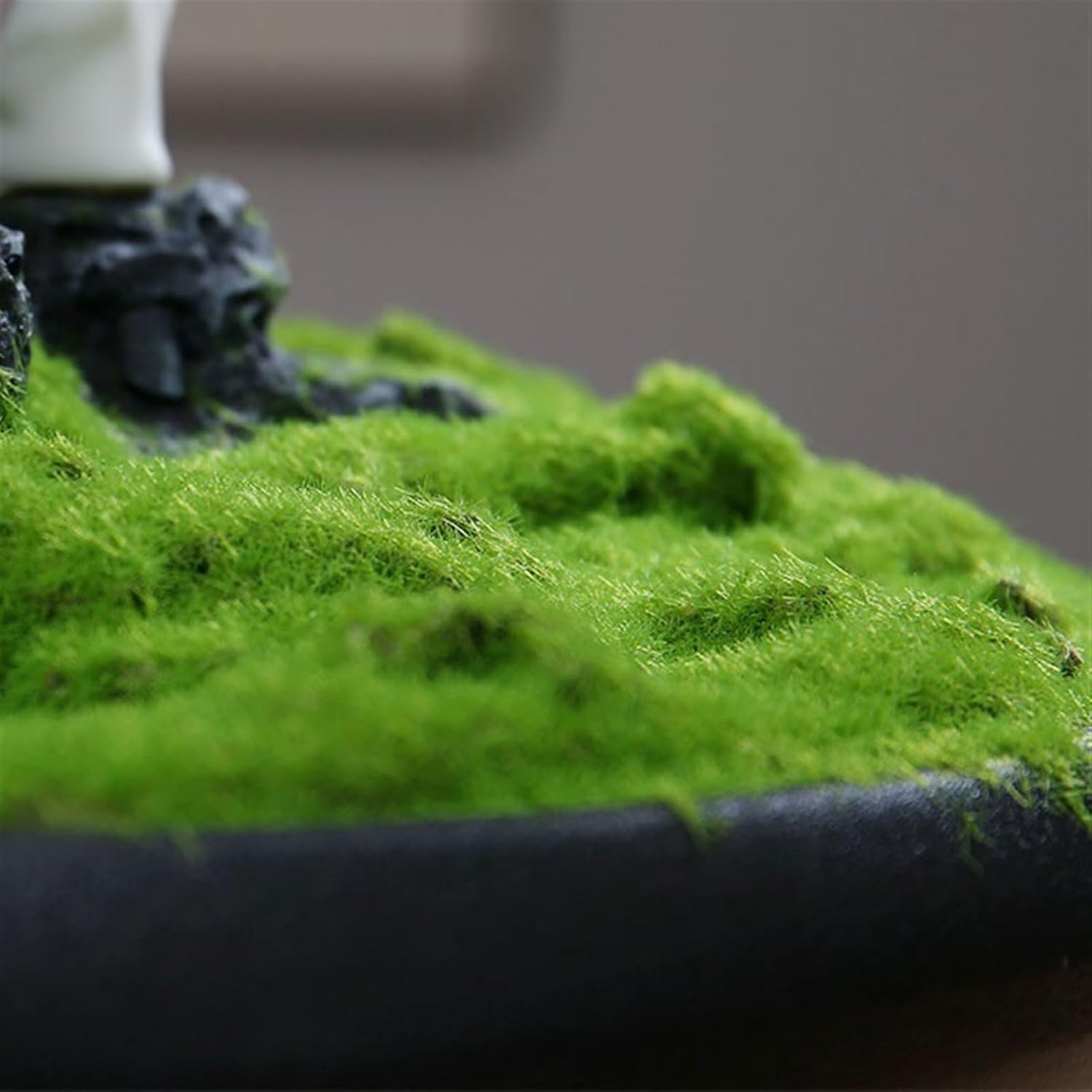 新品:匿名配送】DVD 今野杏南 アサ芸シークレットvol.25