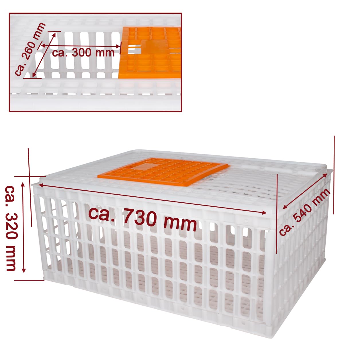 Beeketal 'GBB-1' Geflügel Transportbox mit Schiebetür und Transportgriffen - Transportkiste aus robustem Kunststoff zum Transport von Geflügel und Kleintieren - (L/B/H): ca. 730 x 540 x 320 mm