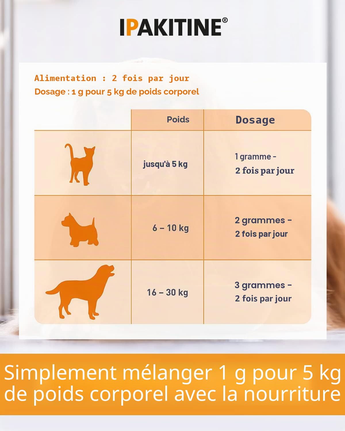 Vetoquinol Ipakitine Aliment diététique - 180 g