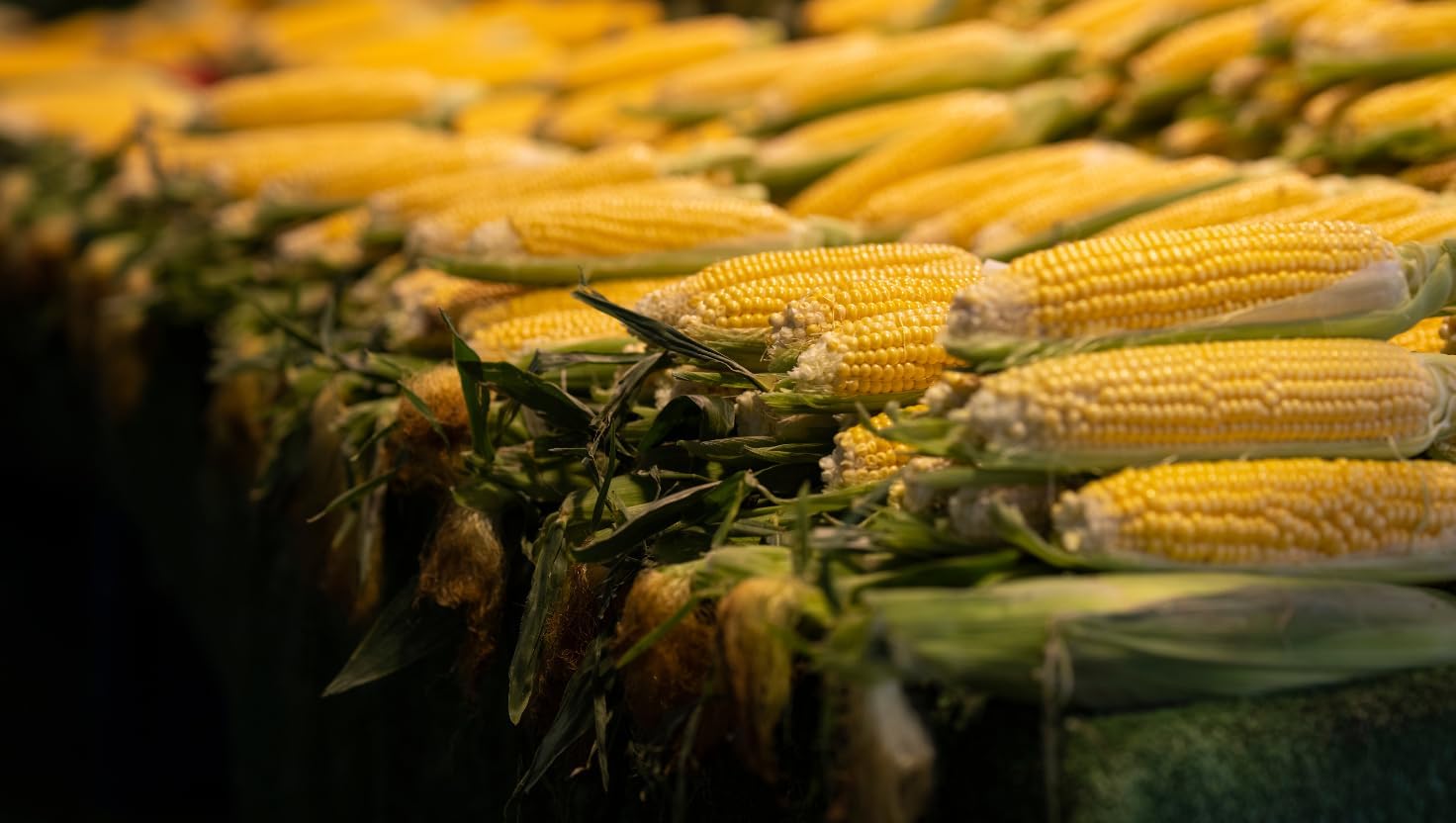 Brownie Brand Seed 10 Pack Victory Garden Sweet Corn Variety Seeds | Heriloom Seeds, Non-GMO, Untreated Seeds, Made in The USA, White, Yellow & Bi-Color Seeds
