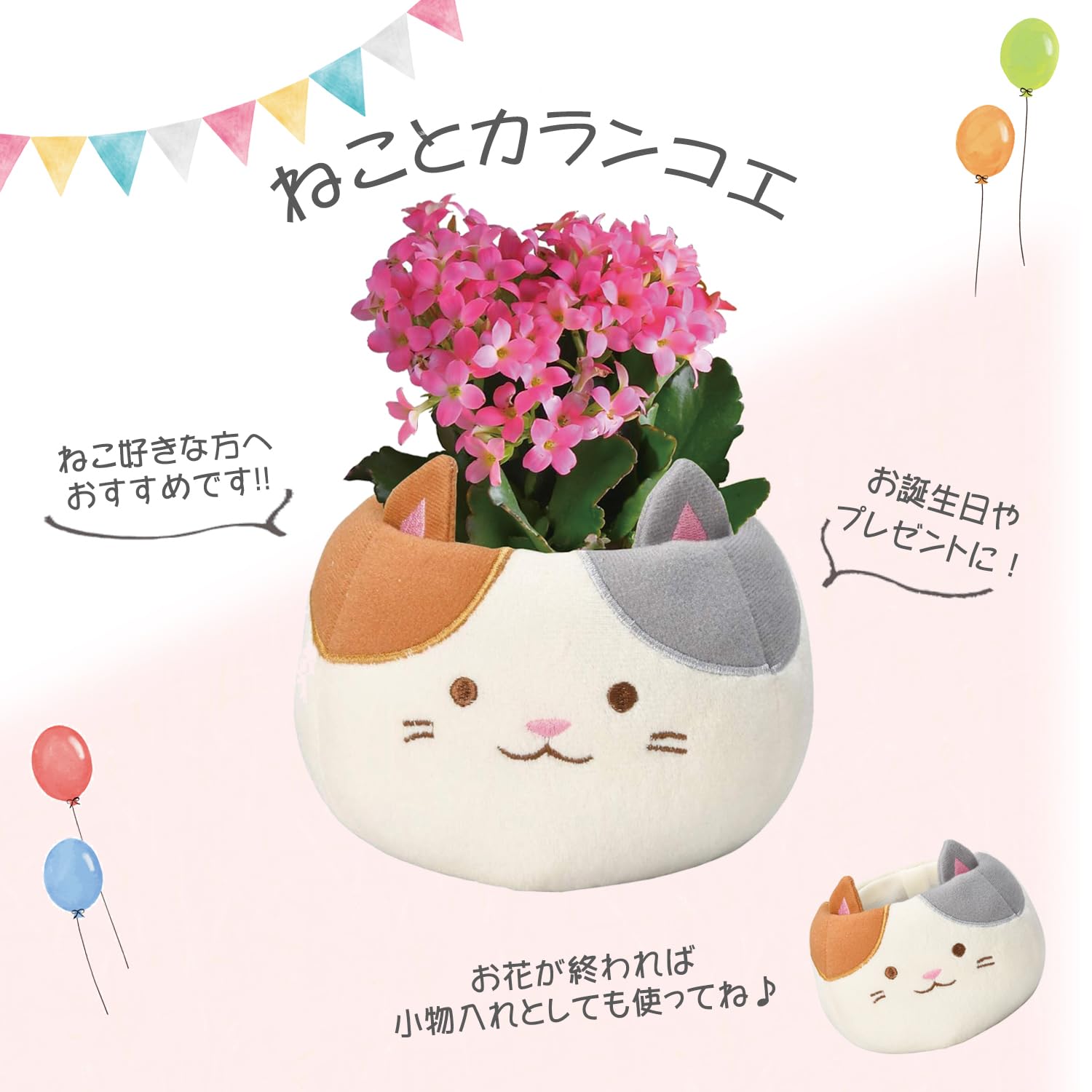 Amazon｜花のギフト社 カランコエ 花 鉢植え プレゼント ギフト 誕生日