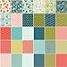 Riley Blake Designs Feed My Soul Riley Blake 5-inch Stacker, 42 Precut Fabric Quilt Squares by Sandy Gervais, Assorted