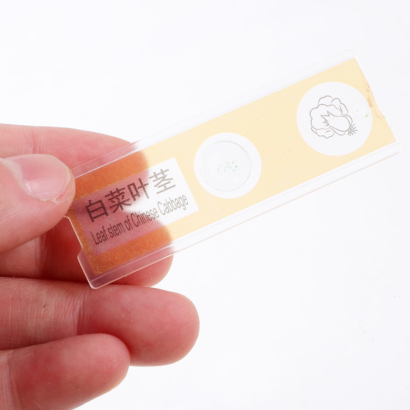 ULTECHNOVO 192stücke Mikroskop Objektträger Für Junge Mädchen Mit Tier Pflanzen Und Insektenpräparaten Für Biologieunterricht Und Spannende Experimente Praktisch Leicht Und Sicher Für