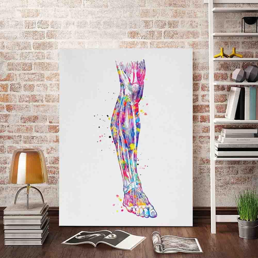 Amazon.com: Rwoodart Classic Canvas Wall Art,Leg Watercolor Print