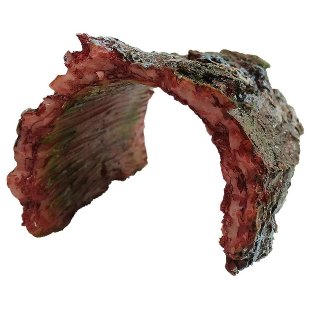 Amazon | 爬虫類シェルター 隠れ家 木の洞窟 生息地の装飾 模造樹皮