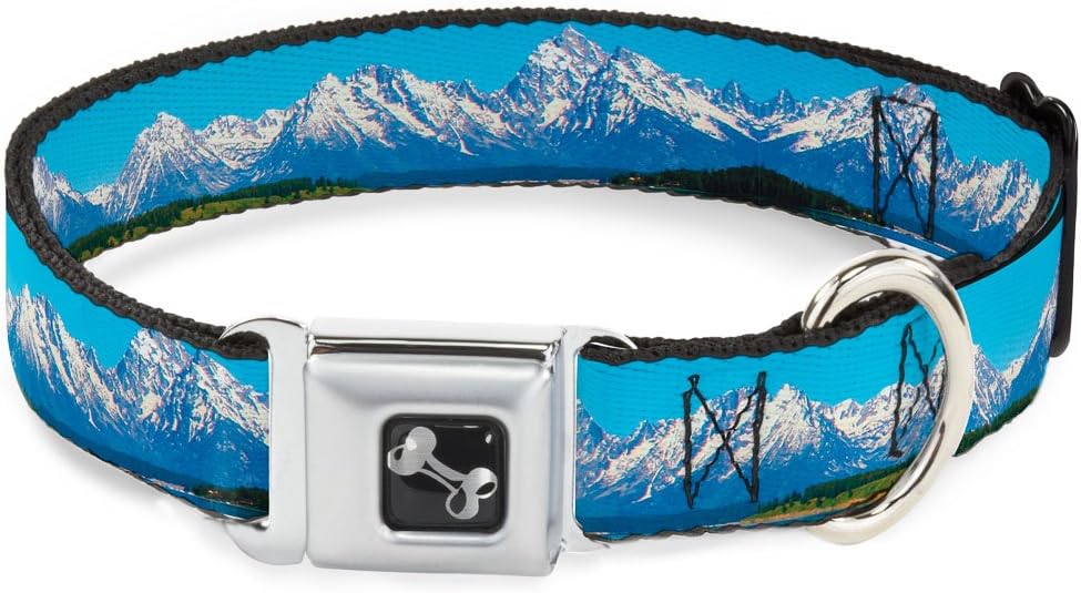 Dog Collar Seatbelt Buckle, 1.5" Wide - Fits 16-23" Neck - Medium