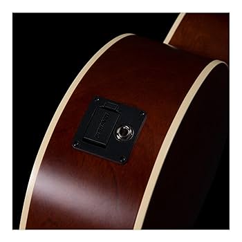 Amazon | Seagull 12弦アコースティックギター、右、サン