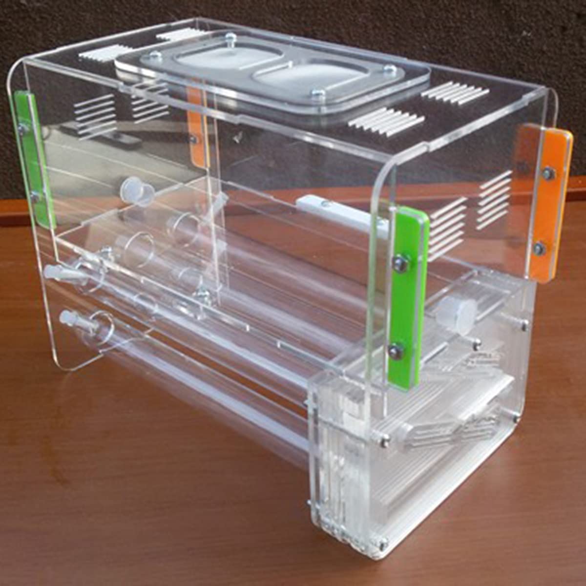 Ant Nest Feeder ZHENGCI Ant Feeder Nest With Test Tube & Acrylic Box ...