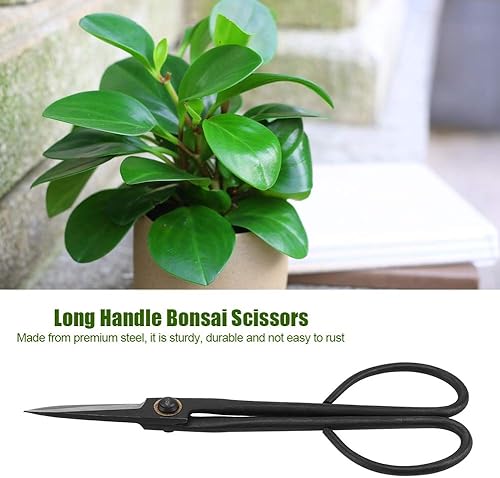 Miniatura 5 de Hakeeta Tijeras de bonsái, tijeras de mango largo de 8.071 in de acero inoxidable para podar hojas de brote, herramienta de recorte de bonsái, juego