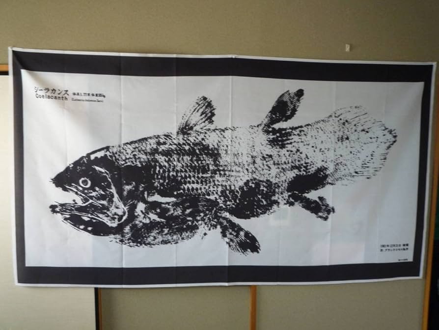 シーラカンス Amazon.co.jp: シーラカンス原寸大魚拓 布製 幅210センチ 縦