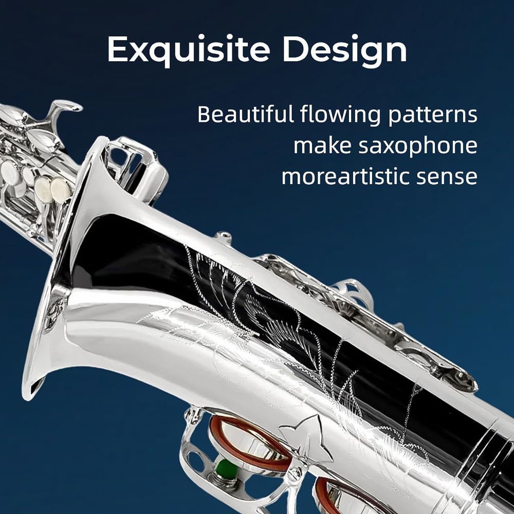 Amazon | WUQIMUSC プロフェッショナル Eb Alto Saxophone - 完全