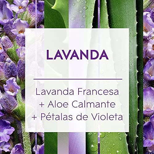 Glade Aromatizador de Ambiente, Difusor de Aromas Lavanda, Óleos Essenciais, 2 Unidades com 6 Vareta