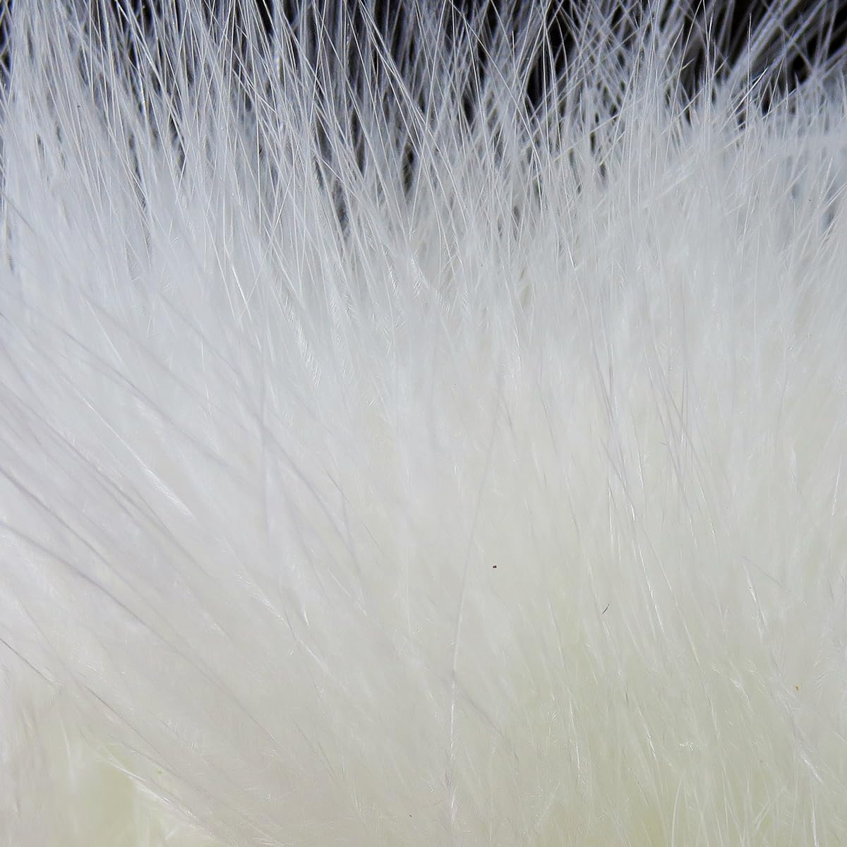 Hareline Fly Tying Marabou Blood Quills – Premium Long Marabou Feathers for Fly Tying Streamers, Leeches & Jigs (White)