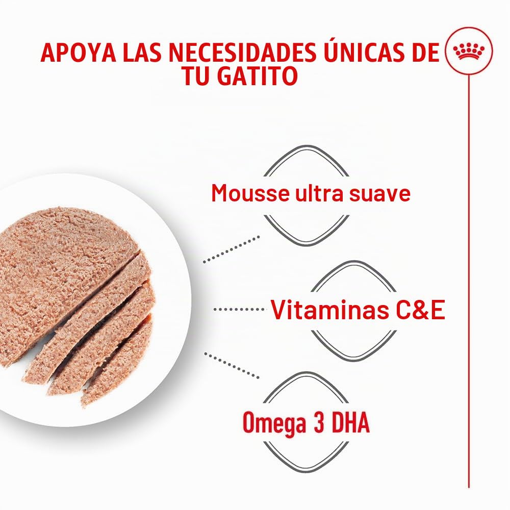 Royal Canin Mother & Babycat Mousse | 12 x 195 g | Alimento Completo para Gatos | Especialmente para la Gata Madre y Sus Gatitos | para apoyar Las defensas Naturales