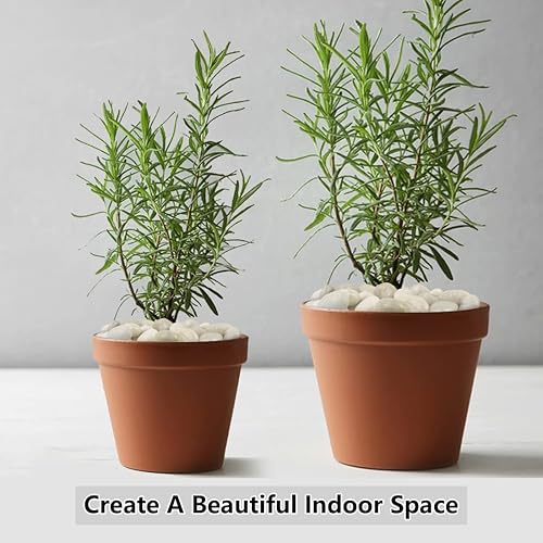 Miniatura 4 de YISZM Piedras blancas decorativas naturales de 5 libras, piedras de roca de río pulidas de 0.7 a 1.2 pulgadas para plantas, jarrón, pecera,