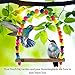 SunGrow Colorful Parakeet Swing Toy with Bells, Cockatiel, Lovebird & Budgie Wooden Perch Stand, 8.5x6 Inches, Sturdy Rocking Gym, Small Bird Cage Accessories to Balance, Exercise & Training