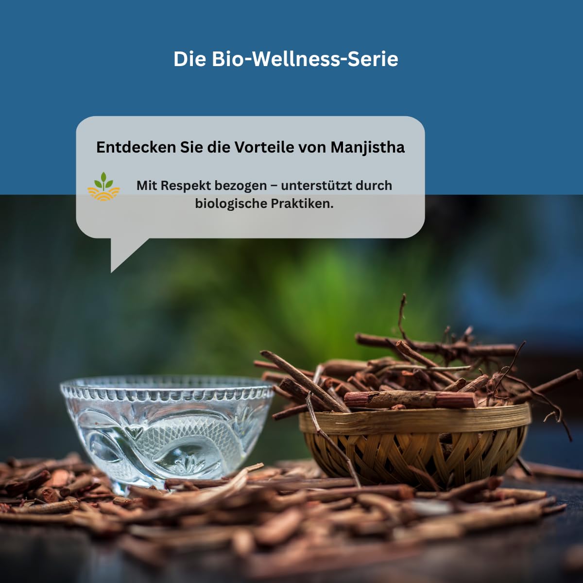 Manjistha Kapseln – Ayurveda Kräuterergänzung – Rubia Cordifolia Pulver – Pflanzlich, Vegan, Natürlich, 60 Kapseln (Packung mit 2) (2er - Pack)
