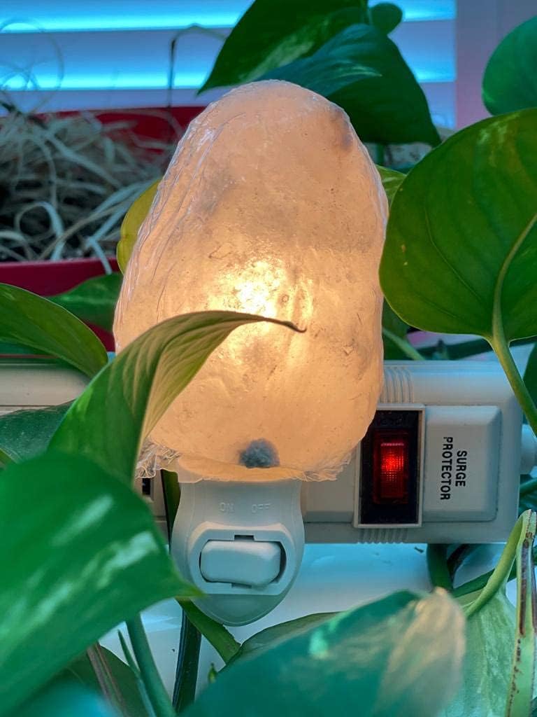 Himalayan Pink Salt Night Lamp - Natural White, Individually Hand Crafted Himalayan Pink Salt Lamps, Amber Glow, Bedside Night Light, 15 Watt Bulbs, Rotatable Holder