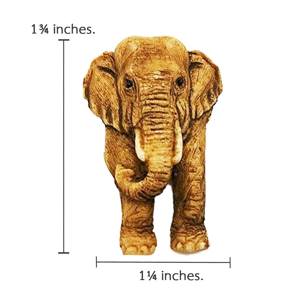 Amazon.com: WitnyStore Tiny 1¾
